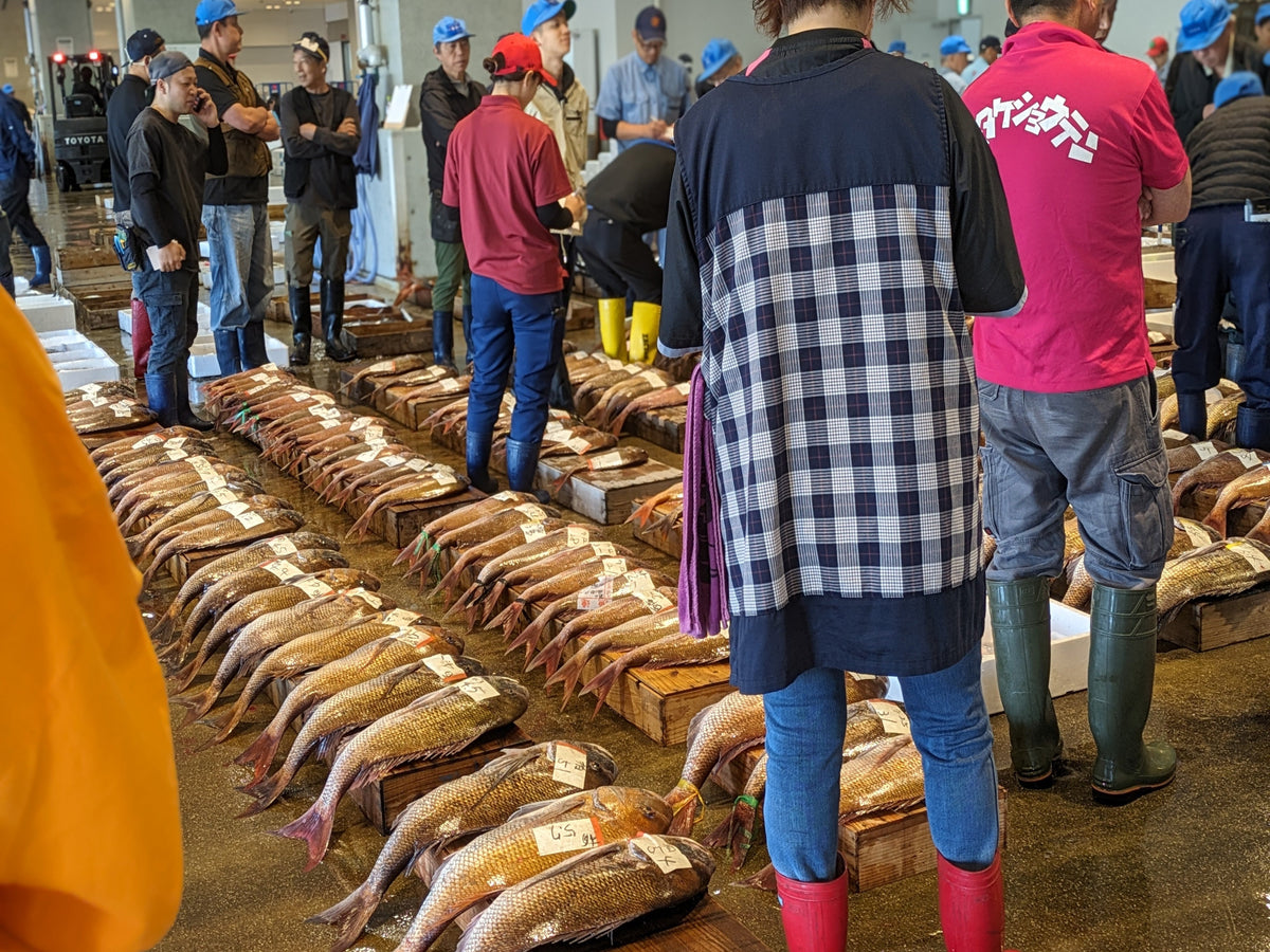 Exclusive Morning Fish Market Auction Tour