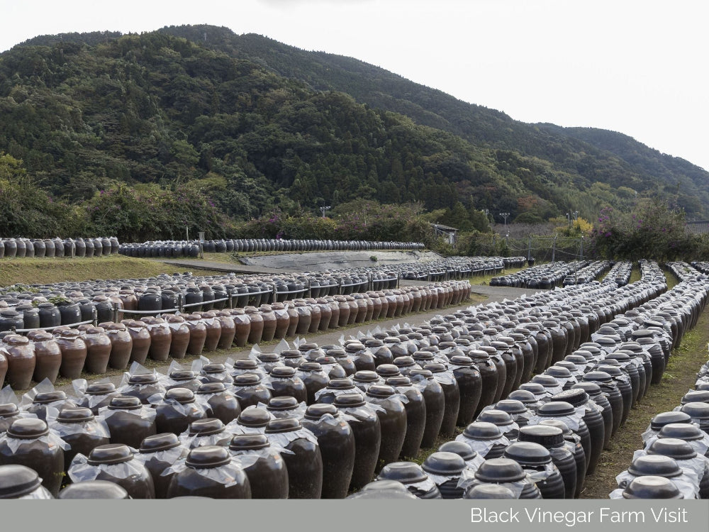 Sakurajima Volcano Gastronomy Tour, produced by SHIROYAMA HOTEL kagoshima
