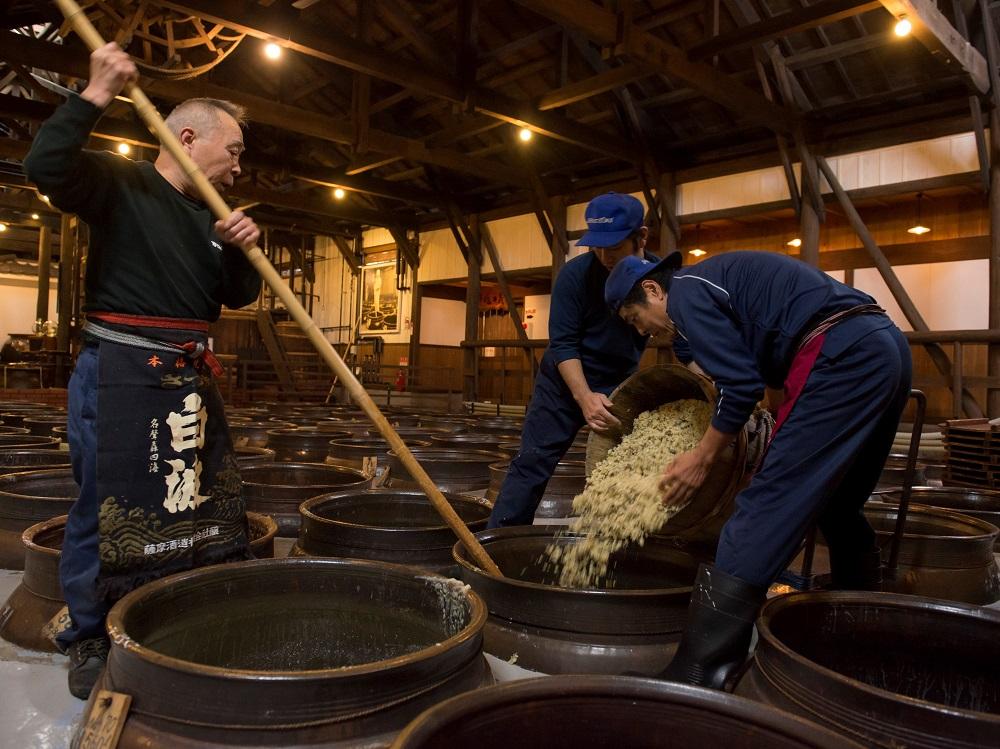 Private Virtual Tour 🍶 The Secret of Koji in Shochu at Meijigura Distillery