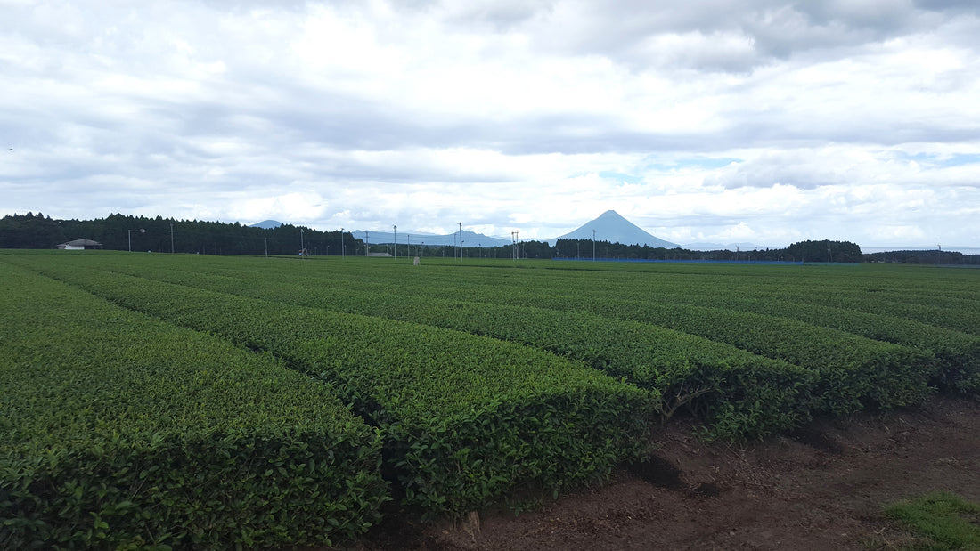 Kagoshima Agriculture