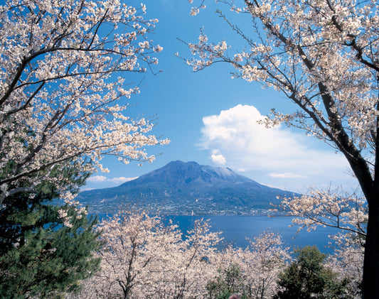 A Brief Intro to Kagoshima