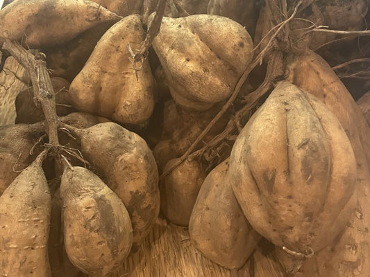 Sweet Potatoes, a Pillar of Kagoshima Culture