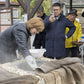 【Exclusive Excursion】The Healing Sands of Ibusuki: Exclusive Wellness & Rustic Charm
