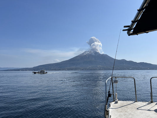Volcano Views & Big Catches: Kinko Bay Private Charter