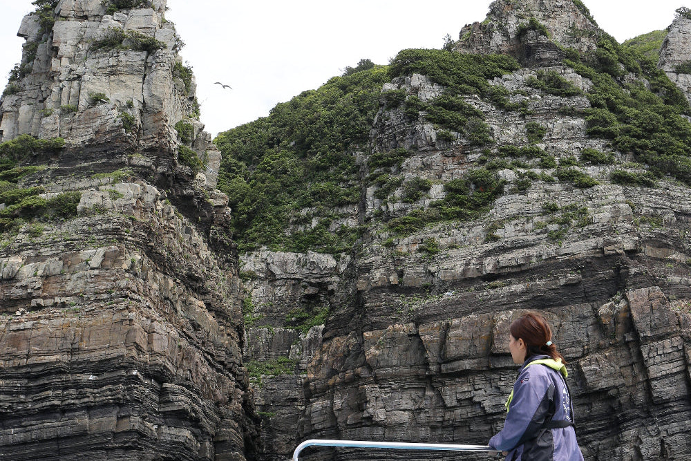 August 29–30, 2026 Koshikishima Island Retreat: A Journey to Japan's Hidden Lily Meadows