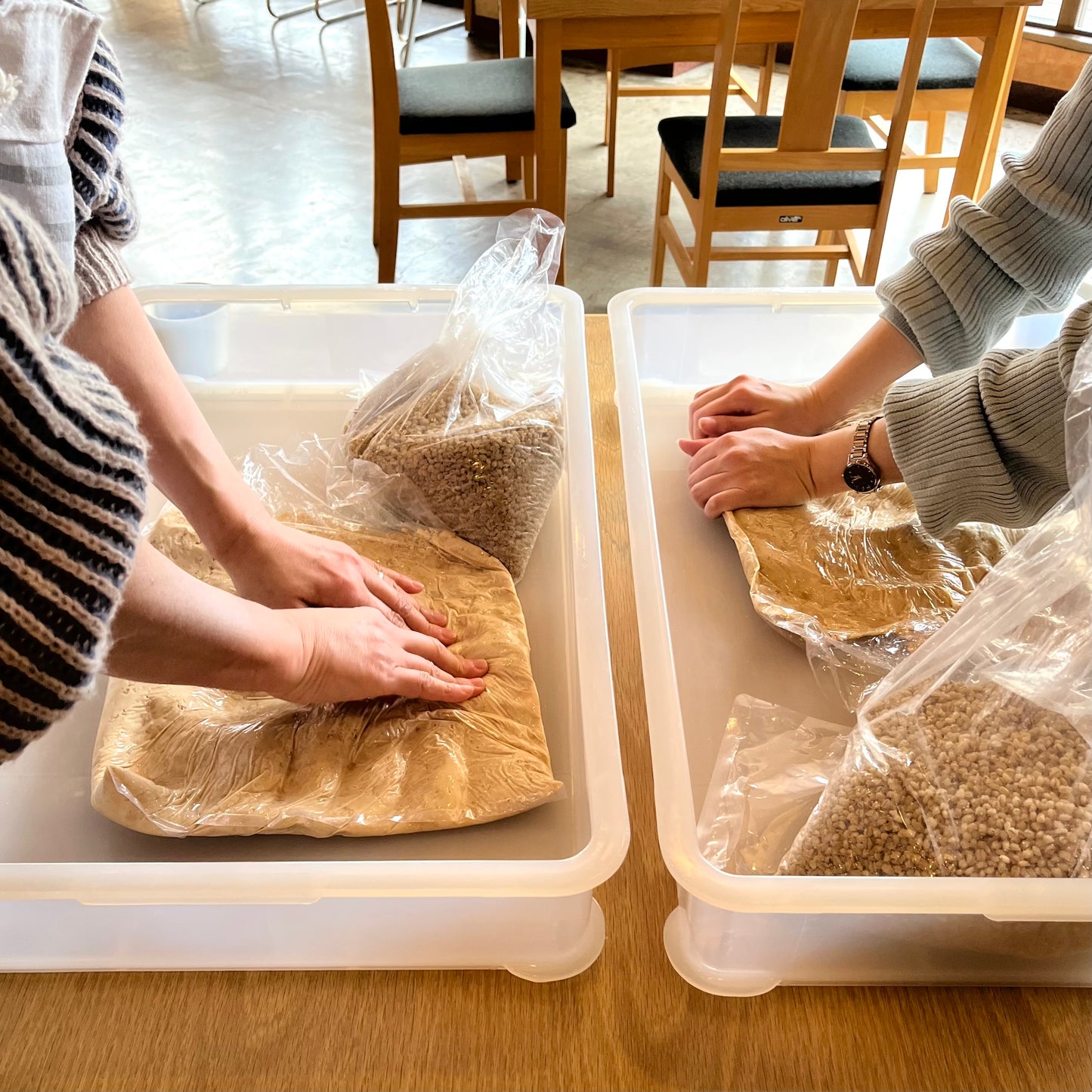 Kagoshima Miso Masterclass: From Soybeans to Soul Food