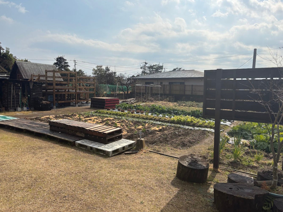 Authentic Countryside & Traditional Farm Life Experience in Kagoshima