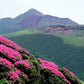 Kirishima Hike with local hiking guide