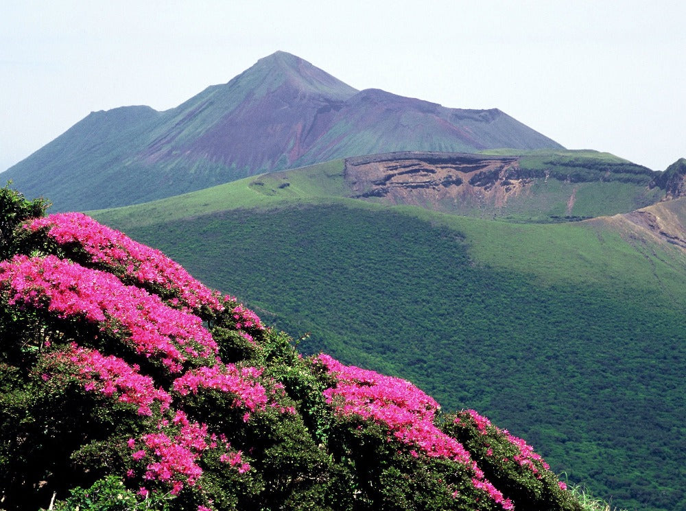 Kirishima Hike with local hiking guide