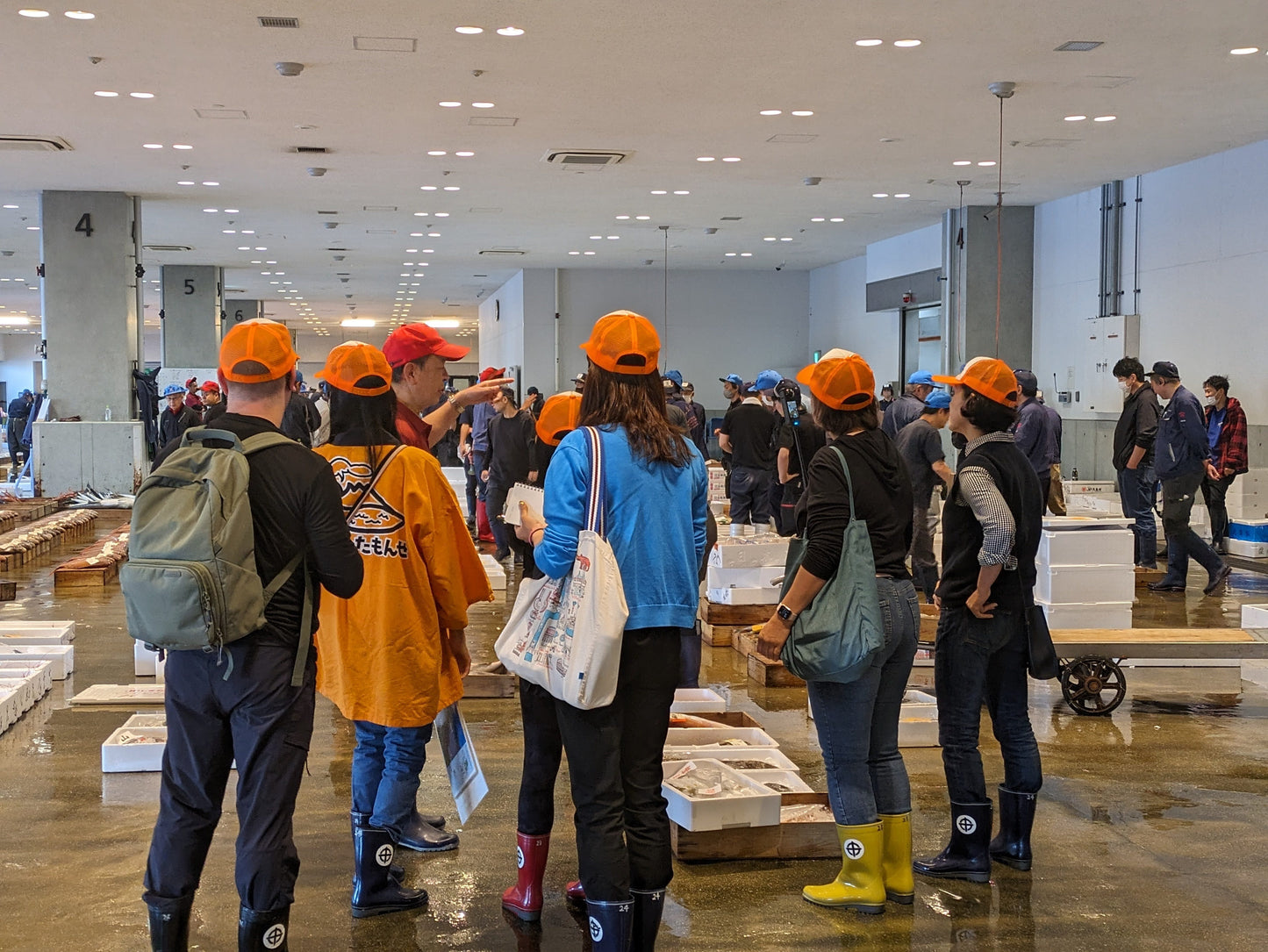 Exclusive Morning Fish Market Auction Tour