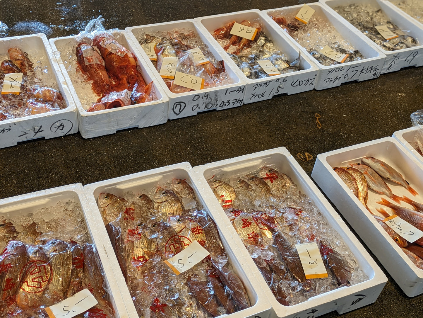 Exclusive Morning Fish Market Auction Tour