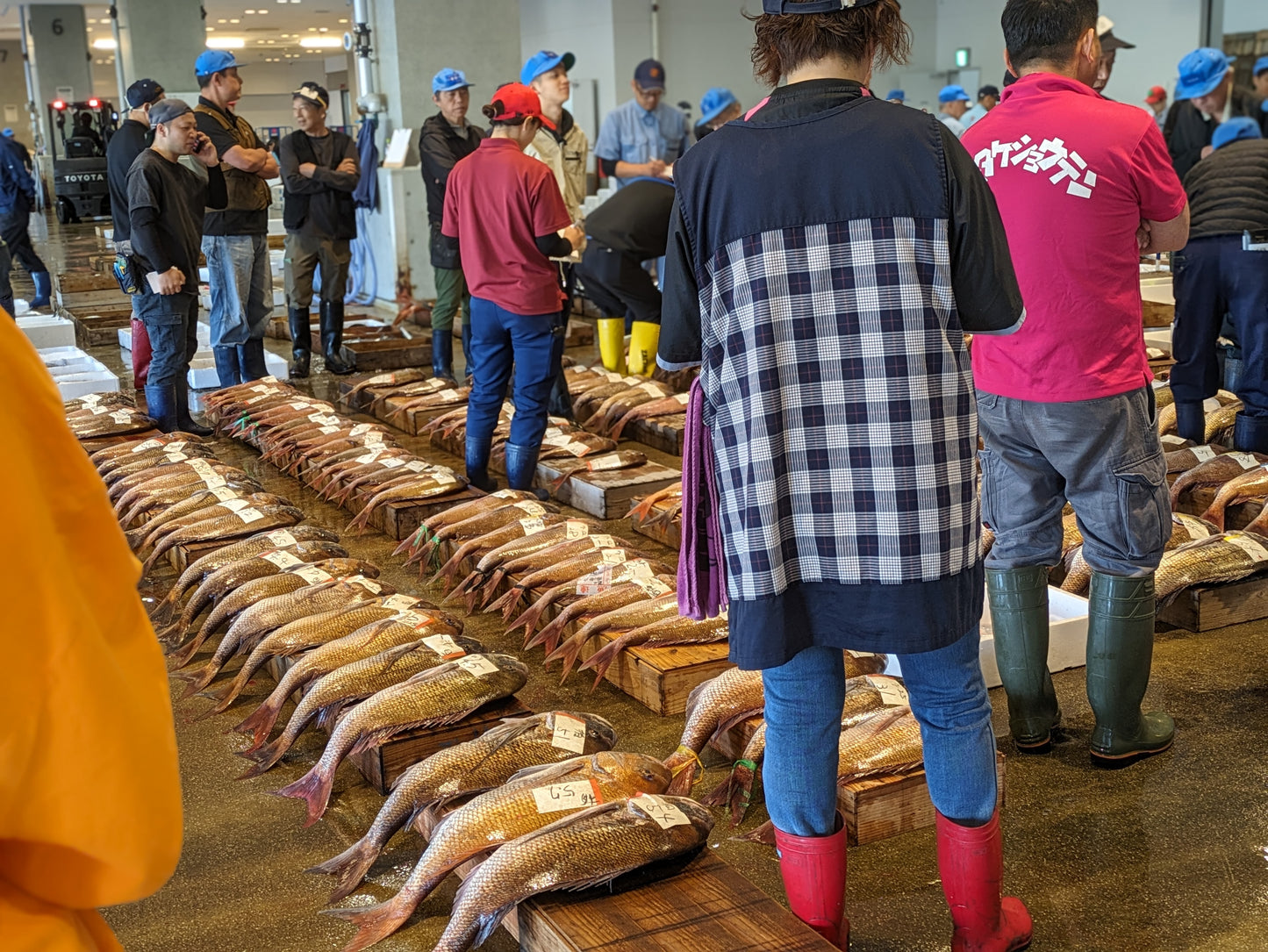 Exclusive Morning Fish Market Auction Tour