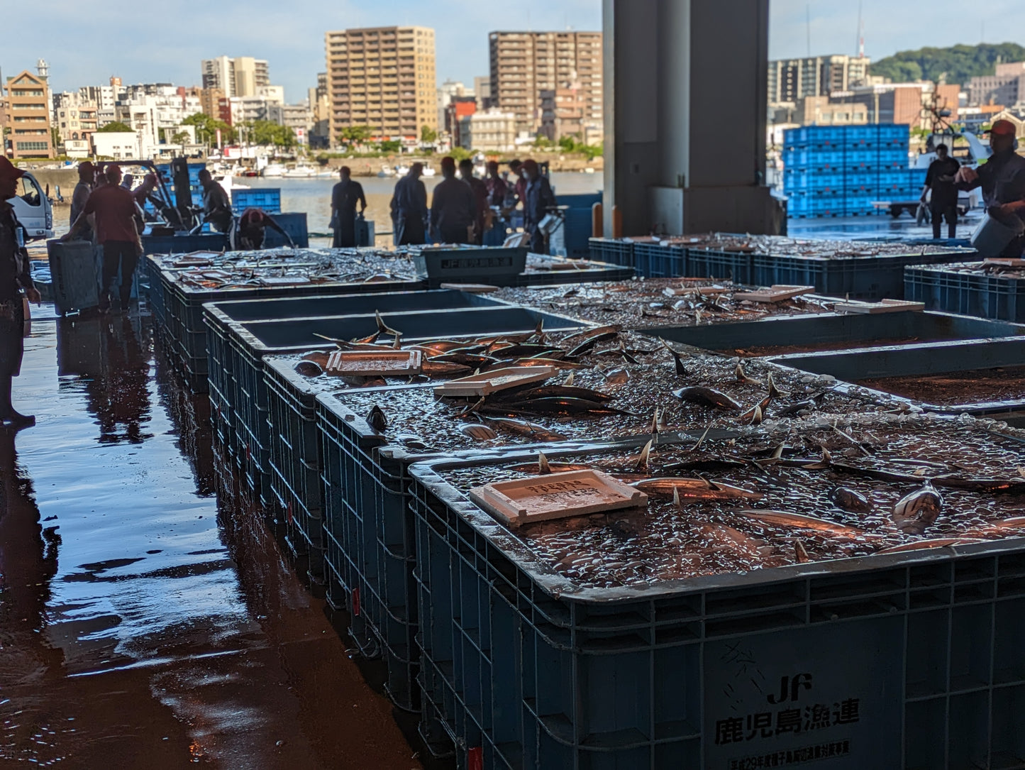 Exclusive Morning Fish Market Auction Tour