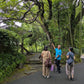 Satsuma Heritage: A Private Half-Day Journey to Miyama Ceramic Village