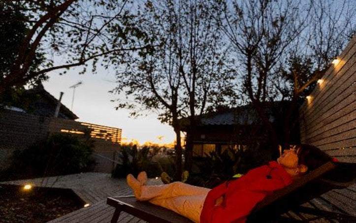 Dive into Volcano: An enchanting  tour themed around 'Living on the active volcano, Sakurajima' (land edition)