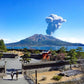 Immersed in Samurai Culture: A tour of samurai sites and Sengan-en, a Japanese garden, with a luxurious lunch in a tranquil setting