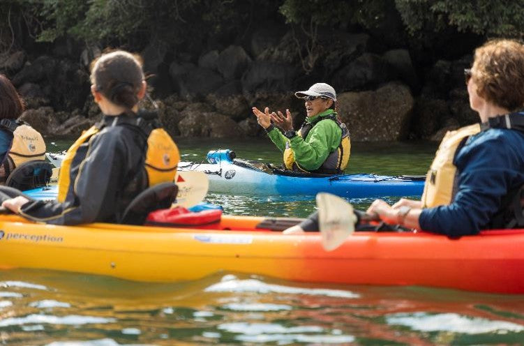 Dive into Volcano: An enchanting  tour themed around 'Living on the active volcano, Sakurajima' (sea edition)