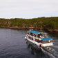Dive into Volcano: An enchanting tour themed around 'Living on the active volcano, Sakurajima '(sunset cruising edition)