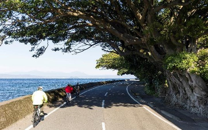 Dive into Volcano: An enchanting  tour themed around 'Living on the active volcano, Sakurajima' (land edition)