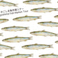 Kagoshima Fish Market Tour