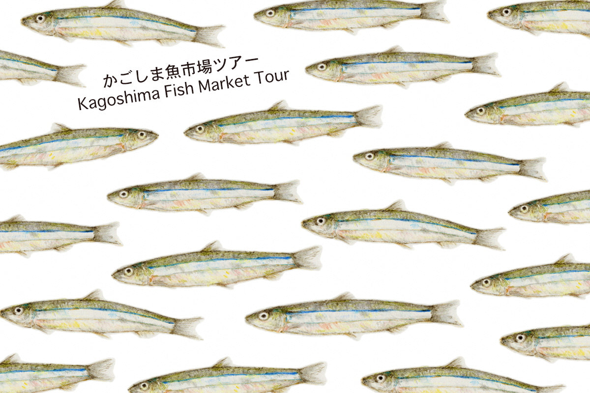 Kagoshima Fish Market Tour / かごしま魚市場ツアー