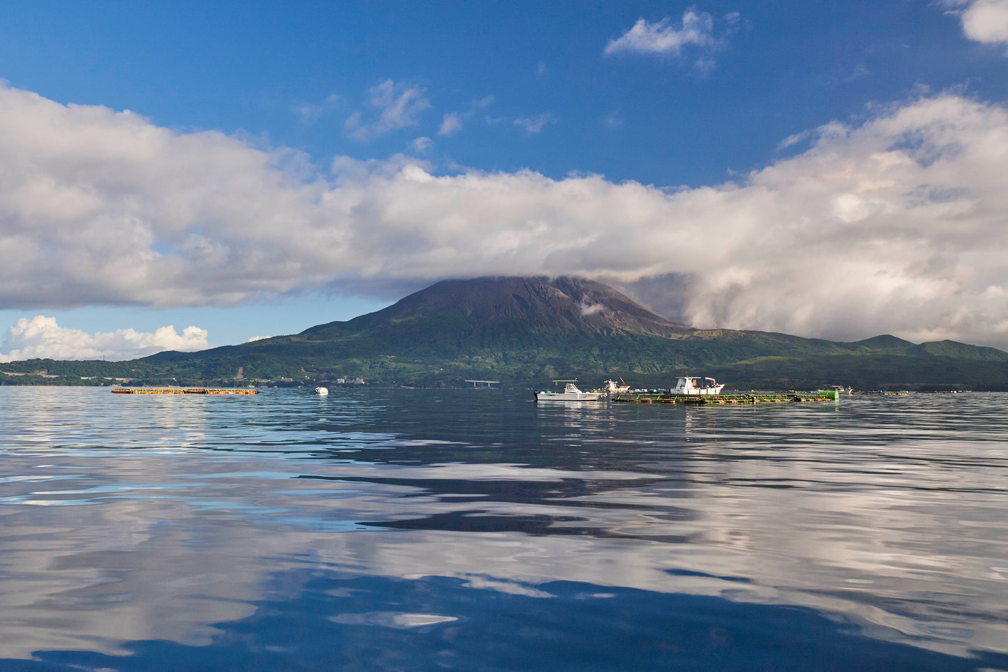 Fishing with the Master of Kinko Bay in Osumi Peninsula, Kagoshima