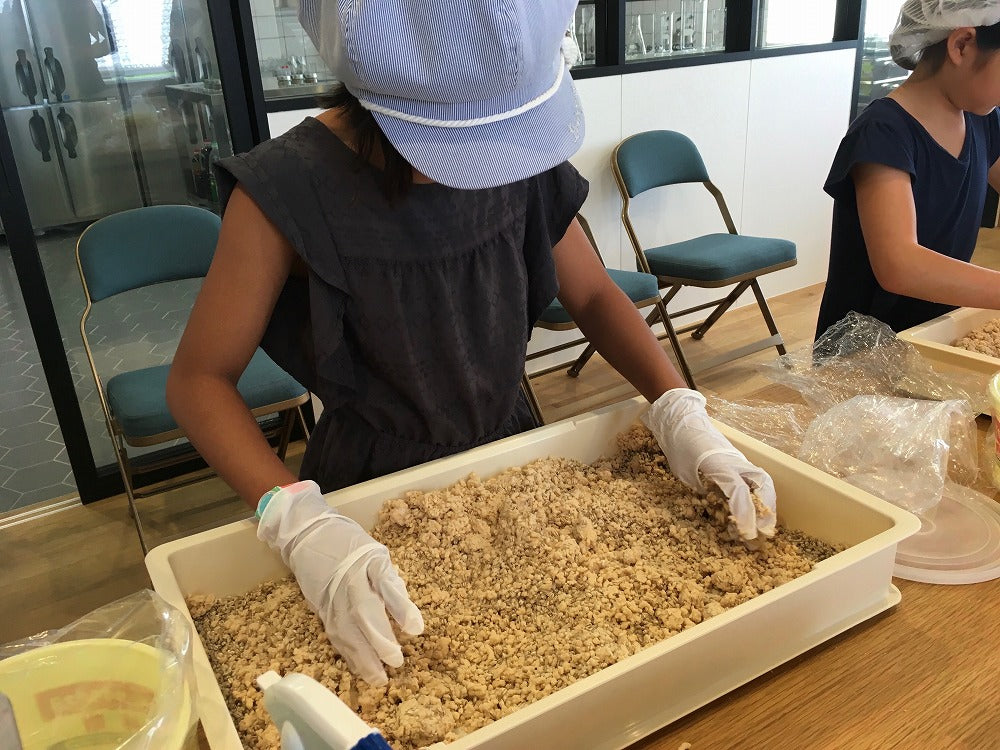 Visiting Miso Factory and Miso Making Experience