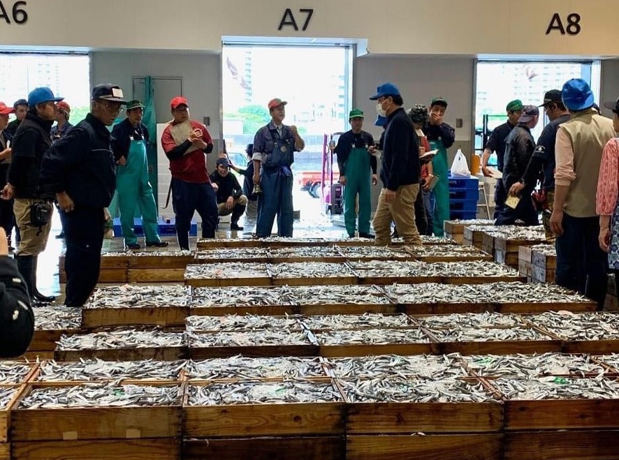 Kagoshima Fish Market Tour