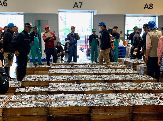 Kagoshima Fish Market Tour