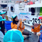 Kagoshima Fish Market Tour