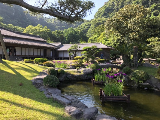 【Exclusive Excursion】Sengan-en & Sakurajima Journey